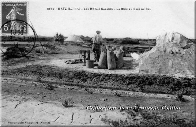 3207 - Batz (L.-Inf.) - Les Marais Salants - La Mise en Sacs du Sel