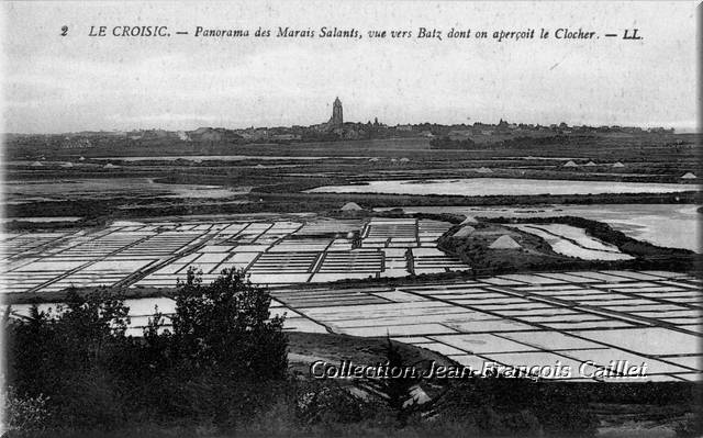 2 Le Croisic.- Panorama des Marais Salants, vue vers Batz dont on aperçoit le clocher